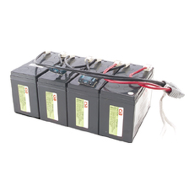 Cartuccia batteria di ricambio APC n. 25 con 2 anni di garanzia