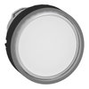 Testa pulsante luminoso Ø22 - bianco