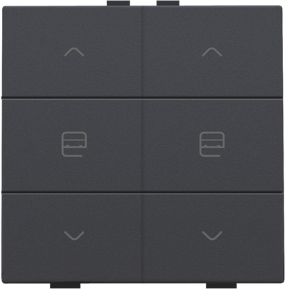 Przycisk 2-krotny do Niko Home Control kolor anthracite