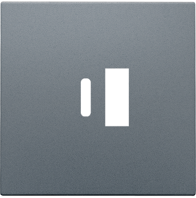 Zestaw wykończeniowy do ładowarki Dual smart USB-A i USB-C, kolor alu 