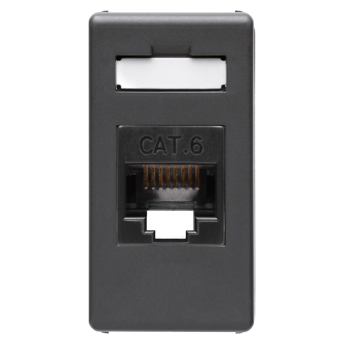 BASE RJ45 - 4 PARES - CATEGORIA 6 - UTP - TOOLLESS - 1 MÓDULO - SYSTEM WHITE