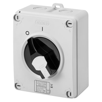 INTERRUPTOR ROTATIVO - HP - MANDO - CAJA DE MATERIAL AISLANTE - 32A 2P - MANETA NEGRA - IP66/67/69
