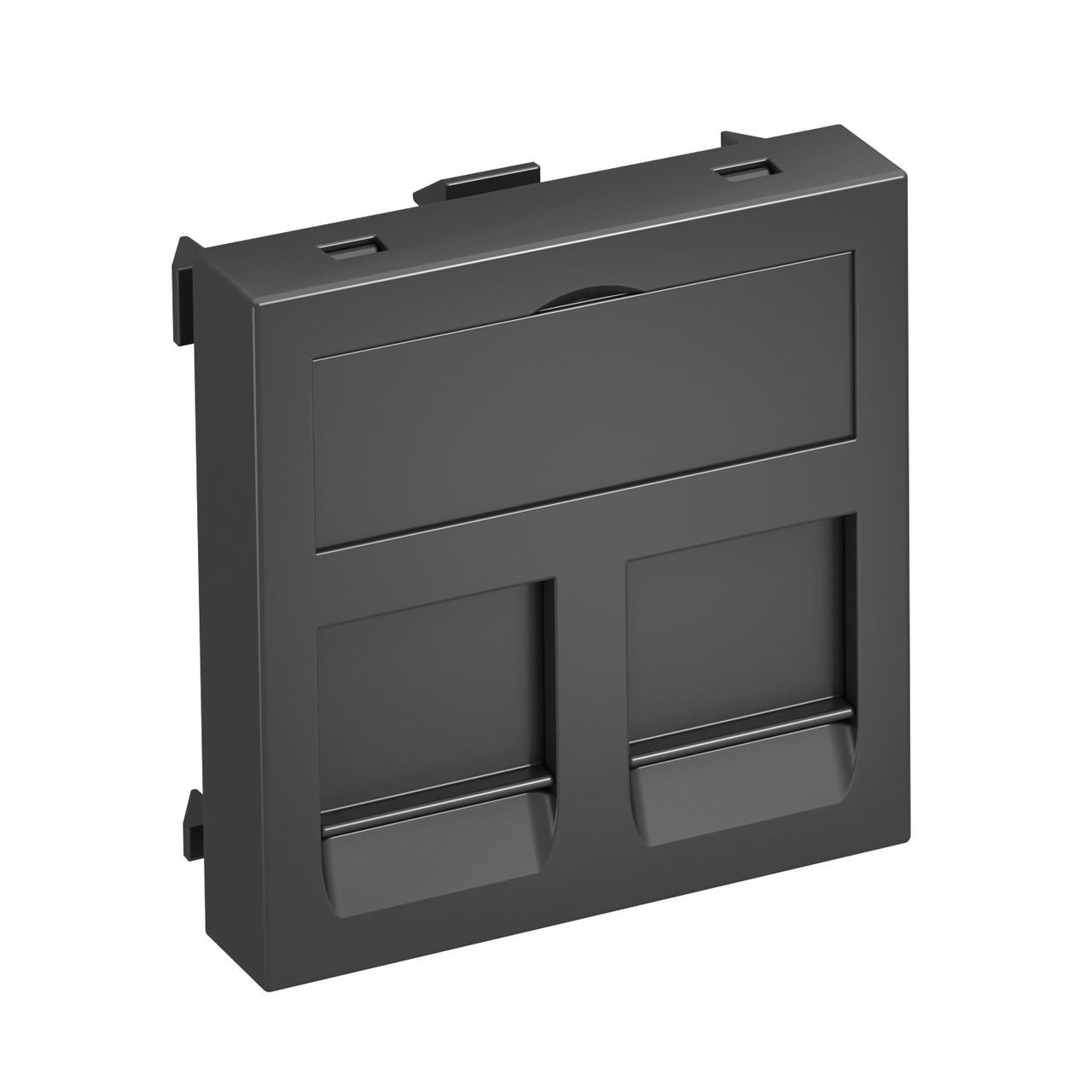 Espelho de dados para 2 conectores Tipo A 45x45mm Policarbonato cinzento antracite RAL 7021