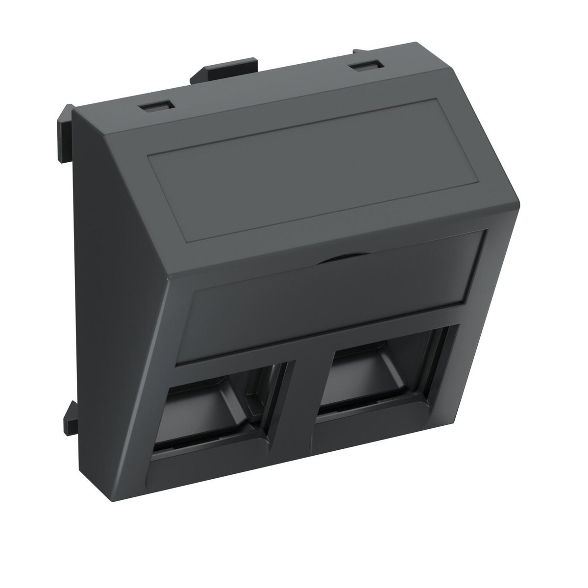 Data technology support f. 2 connection modules type C 45x45mm Policarbonato cinzento antracite RAL 7021
