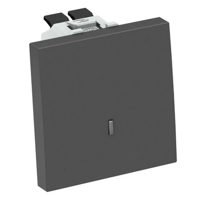 Comutador com luz de controlo 10 A, 250 V Policarbonato cinzento antracite RAL 7021