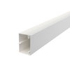 Calha com base perfurada 40x60x2000 Policloreto de vinilo branco puro RAL 9010