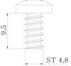 Pan head metal screw Form F with Torx 4,8x9,5 Aço eletrogalvanizado zinco