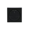Centrumplatta Dimmer Transparent lins, IP21 Med glimlampa, Antracit Impressivo