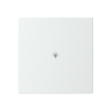 Centrumplatta KNX/f@h 1-funktion "Belysning"  kapacitiv Saga