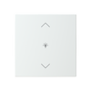 Centrumplatta KNX/f@h 1-funktion "Belysning ɅV"  kapacitiv Saga