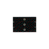 3-polig, priOn, svart glas