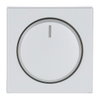 Centrumplatta Dimmer Transparent lins, IP21 Med glimlampa, Aluminium Impressivo