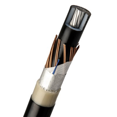 AMLJ TTCL 1X300/35 12kV T1000