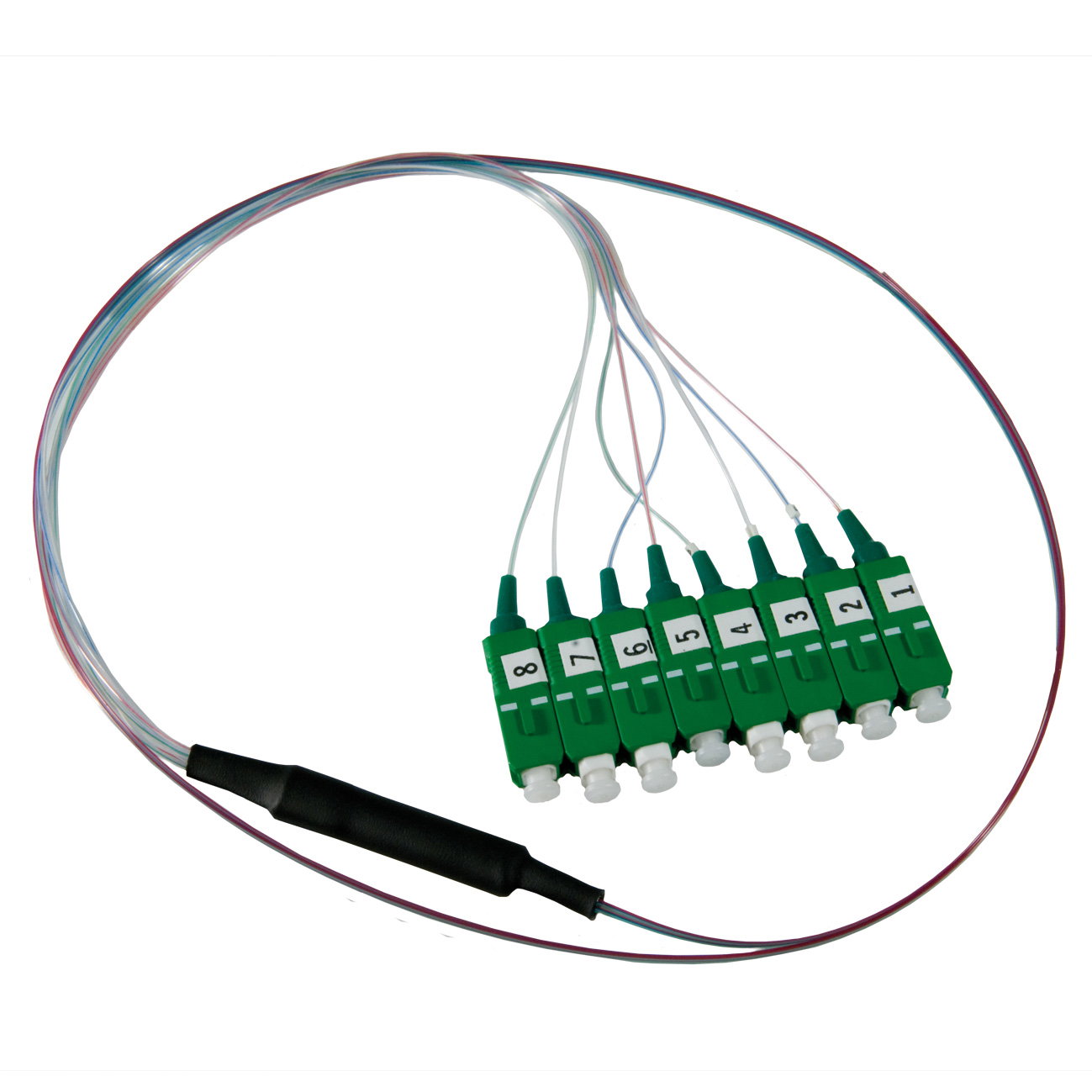 FAN-OUT 8SM SC/APC