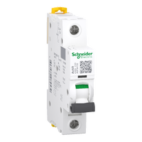 Dvärgbrytare iC60L 1P C50A
