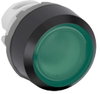 MP1-11G Pushbutton