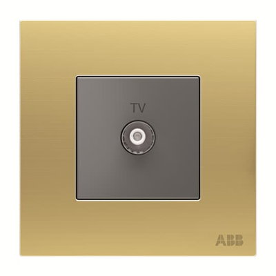 TV outlet 1 gang Matt Gold - Millenium