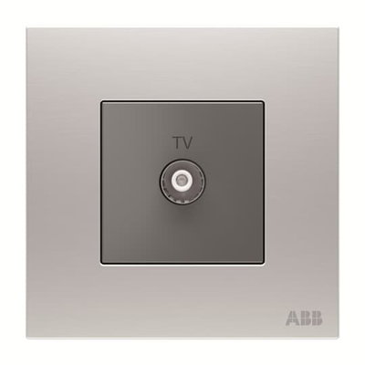 TV outlet 1 gang Stainless steel - Millenium