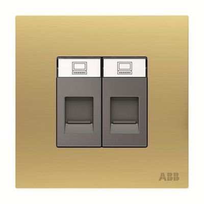 Data outlet 2 gang Matt Gold - Millenium