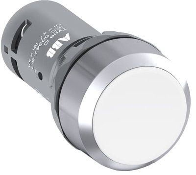 CP1-30W-10 Pushbutton
