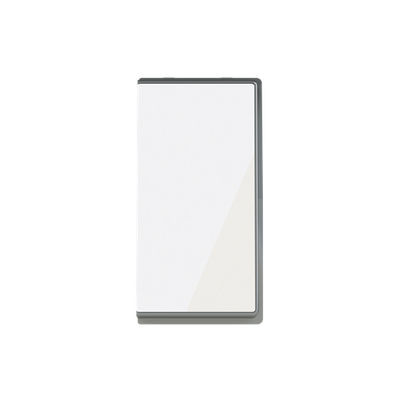 Switch 2-way Two-way switch White Glass - Millenium