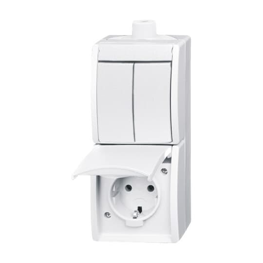 Combination rocker switch with SCHUKO® socket outlet 2-gang, Series switch 2P+PE alpine white - ocean