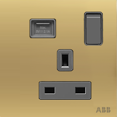 Socket outlet BS with USB Power Socket Outlets - British acc. to BS1363 Matt Gold  - Millenium