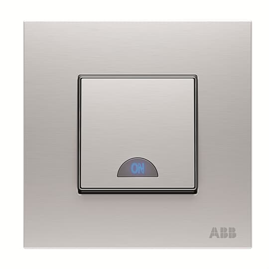 Switch 1-way 2-pole switch Stainless steel - Millenium