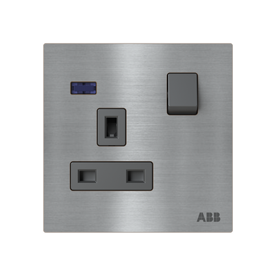 Socket outlet BS Without imprint Stainless steel - Millenium