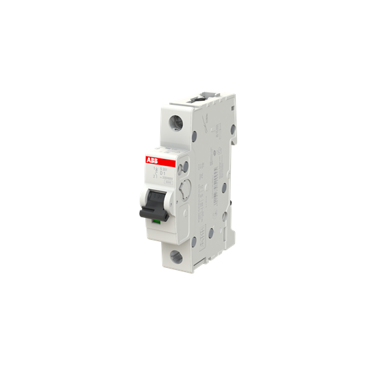 Miniature Circuit Breaker - S200 - 1P - 1 A - D - (AC) 6 kA