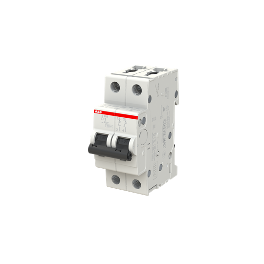 Miniature Circuit Breaker - S200 - 2P - 1 A - D - (AC) 6 kA – Image 3 of 3