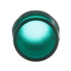 ML1-100G Pilot Light