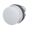 ML1-100W Pilot Light