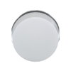 ML1-100W Pilot Light