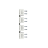 KIT EF FP XT6 4pcs