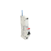 Residual Current Circuit Breaker with Overcurrent Protection DSE201 M - 1P+N - 30 mA - 32 A - B - Type AC