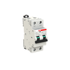 Residual Current Circuit Breaker with Overcurrent Protection DS202CR M - 2P - 30 mA - 6 A - B - Type A