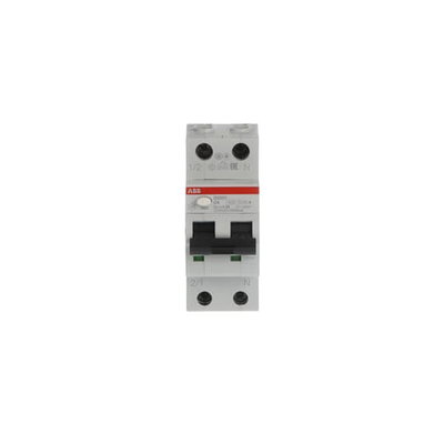 Residual Current Circuit Breaker with Overcurrent Protection DS201 - 1P+N - 300 mA - 4 A - C - Type A