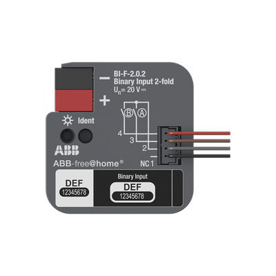 BI-F-2.0.2 Binary Input, 2-fold, FM