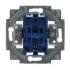 Switch insert Series push button Alternating-/alternating switch for 2 rocker, 10 A
