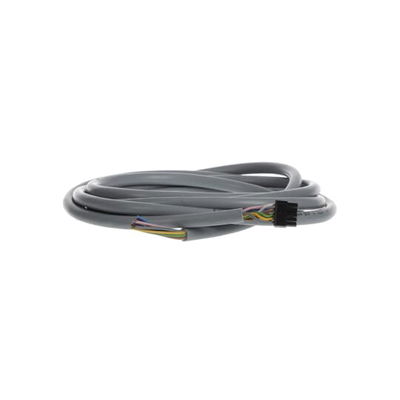 Cable with Plug