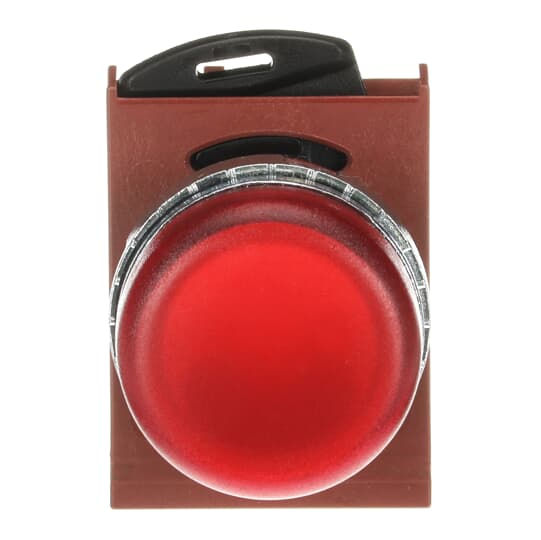 P9MLRD Pilot Light