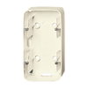 1702-22G Surface-mounting box 2gang box