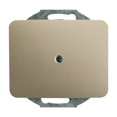 Cover plate for Blind cap 1-gang 0 gang with Mounting plate palladium - alpha