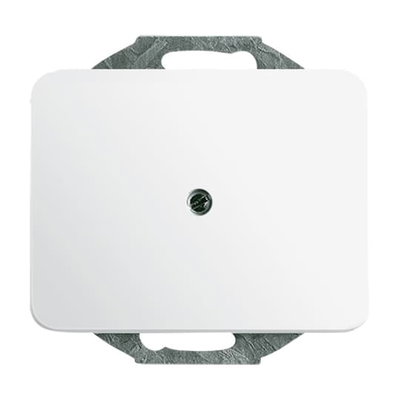 Cover plate for Cable outlet 1-gang with Mounting plate studio white - alpha