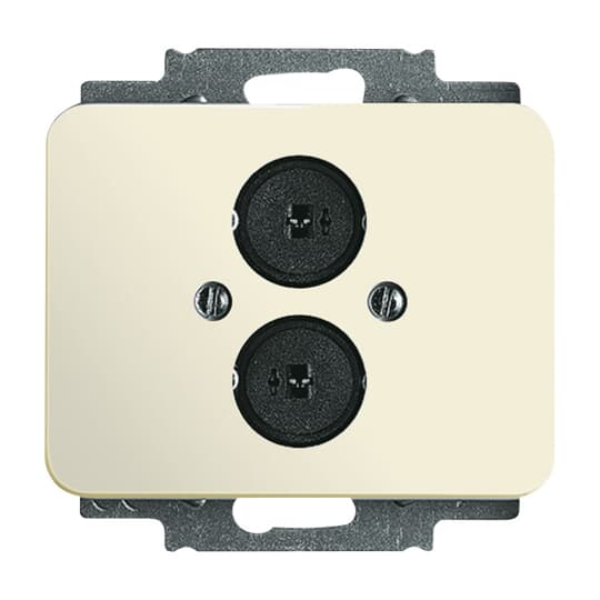 Cover Plate Loudspeaker 2 gang ivory - alpha