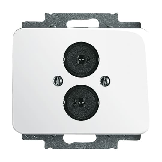 Cover Plate Loudspeaker 2 gang studio white - alpha