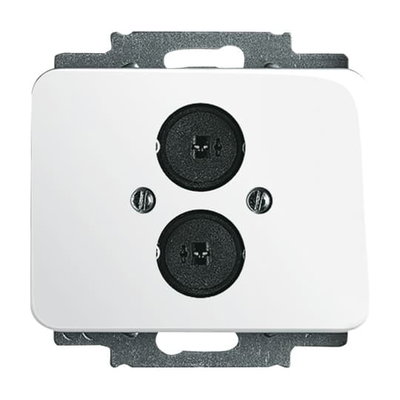 Cover Plate Loudspeaker 2 gang studio white - alpha