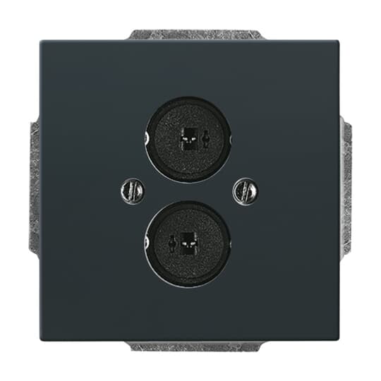 Cover plate Loudspeaker 2 gang anthracite - Platform 63