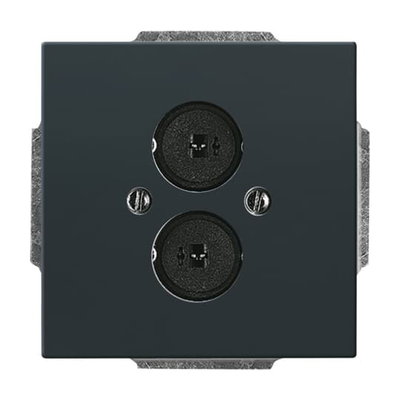 Cover plate Loudspeaker 2 gang anthracite - Platform 63